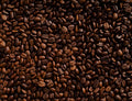 Premium Arabica Coffee Beans